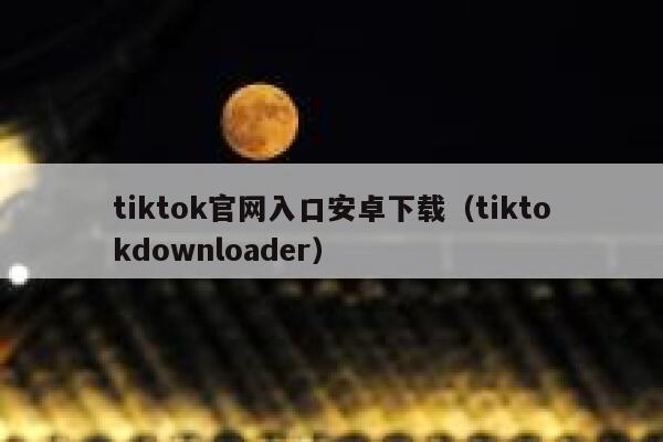 tiktok官网入口安卓下载（tiktokdownloader） 第1张