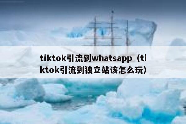 tiktok引流到whatsapp（tiktok引流到独立站该怎么玩） 第1张