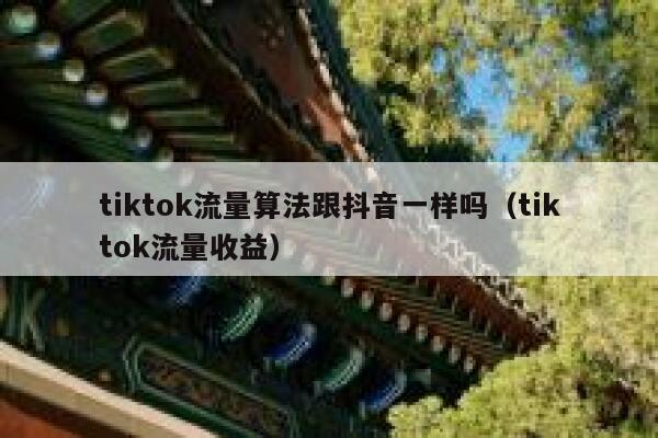 tiktok流量算法跟抖音一样吗(tiktok流量收益) 第1张 tiktok流量算法跟抖音一样吗(tiktok流量收益) 第1张