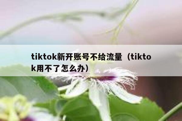 tiktok新开账号不给流量(tiktok用不了怎么办) 第1张 tiktok新开账号不给流量(tiktok用不了怎么办) 第1张