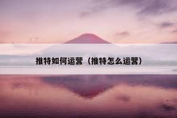 推特如何运营(推特怎么运营) 第1张 推特如何运营(推特怎么运营) 第1张