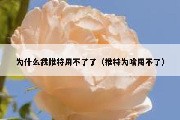 为什么我推特用不了了（推特为啥用不了） 第1张