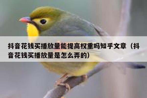 抖音花钱买播放量能提高权重吗知乎文章(抖音花钱买播放量是怎么弄的) 第1张 抖音花钱买播放量能提高权重吗知乎文章(抖音花钱买播放量是怎么弄的) 第1张