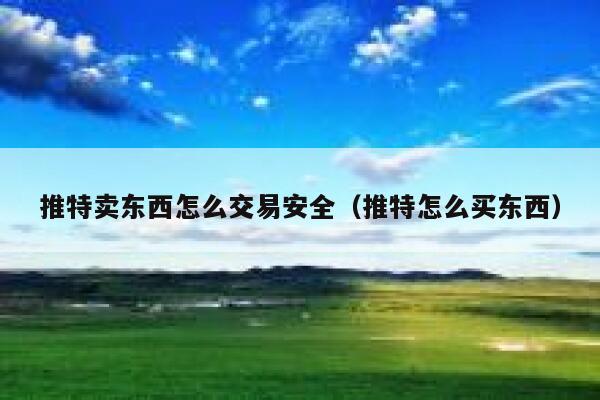 推特卖东西怎么交易安全(推特怎么买东西) 第1张 推特卖东西怎么交易安全(推特怎么买东西) 第1张
