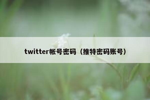 twitter帐号密码（推特密码账号） 第1张