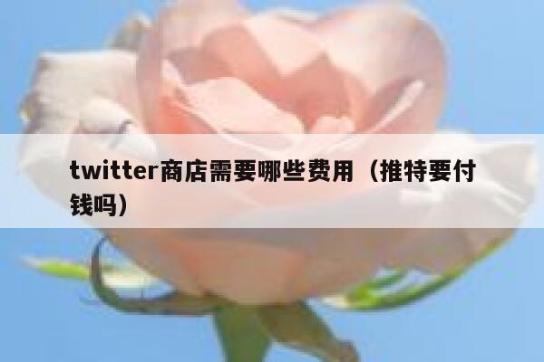 twitter商店需要哪些费用(推特要付钱吗) 第1张 twitter商店需要哪些费用(推特要付钱吗) 第1张