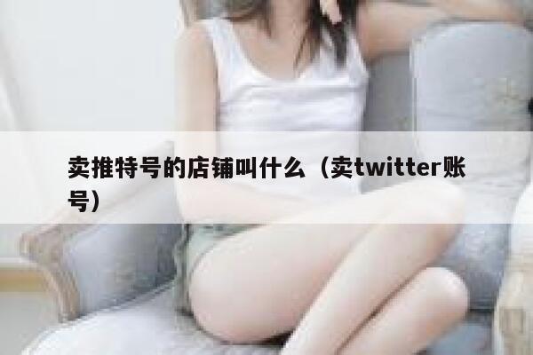 卖推特号的店铺叫什么（卖twitter账号） 第1张