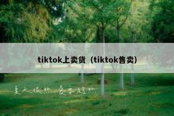 tiktok上卖货（tiktok售卖） 第1张
