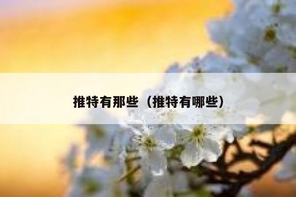 推特有那些（推特有哪些） 第1张