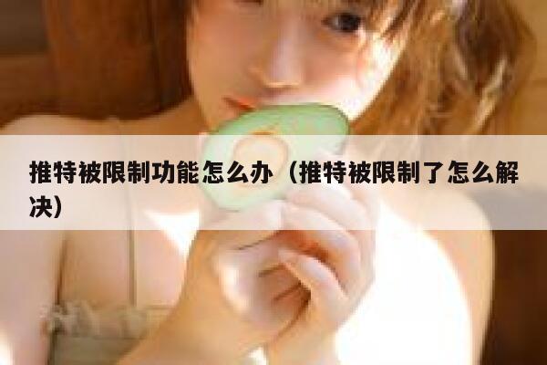 推特被限制功能怎么办（推特被限制了怎么解决） 第1张