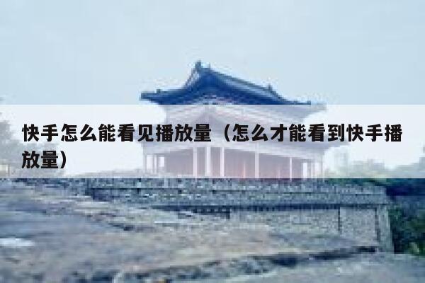 快手怎么能看见播放量（怎么才能看到快手播放量） 第1张