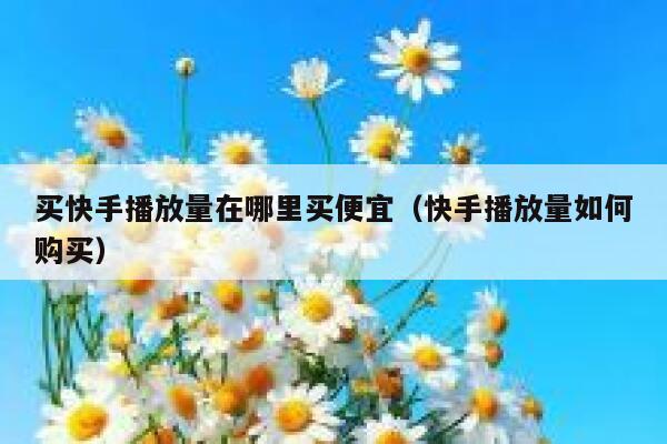 买快手播放量在哪里买便宜(快手播放量如何购买) 第1张 买快手播放量在哪里买便宜(快手播放量如何购买) 第1张