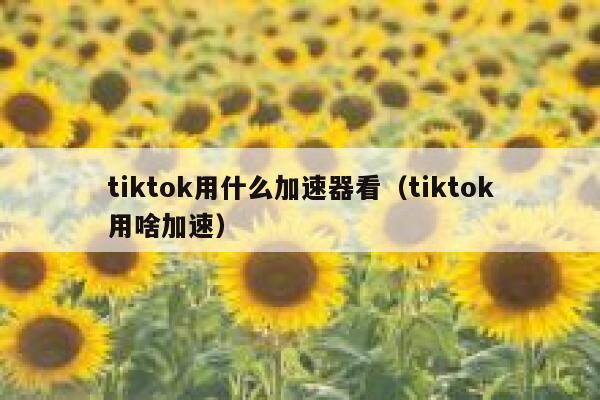 tiktok用什么加速器看（tiktok用啥加速） 第1张