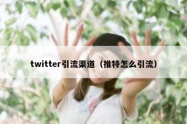 twitter引流渠道（推特怎么引流） 第1张
