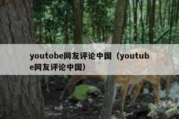 youtobe网友评论中国(youtube网友评论中国) 第1张 youtobe网友评论中国(youtube网友评论中国) 第1张