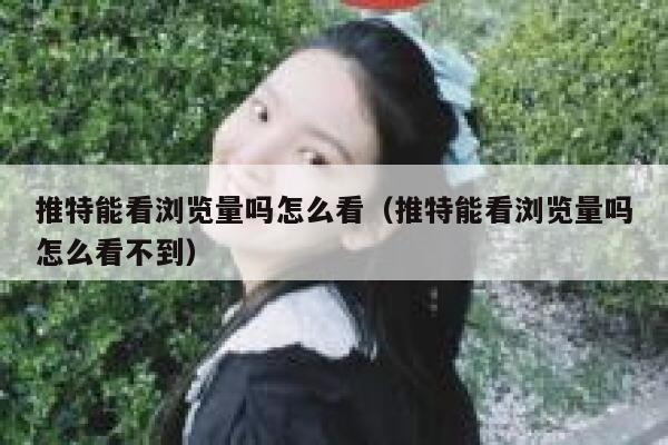 推特能看浏览量吗怎么看（推特能看浏览量吗怎么看不到） 第1张