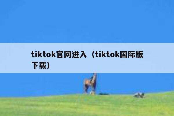 tiktok官网进入（tiktok国际版下载） 第1张