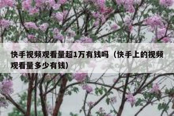 快手视频观看量超1万有钱吗（快手上的视频观看量多少有钱） 第1张