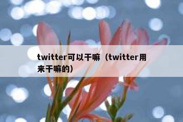 twitter可以干嘛（twitter用来干嘛的） 第1张