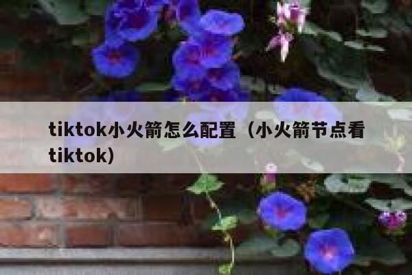 tiktok小火箭怎么配置（小火箭节点看tiktok） 第1张