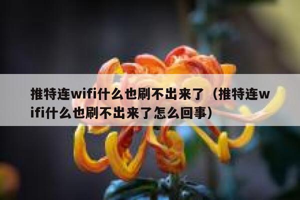 推特连wifi什么也刷不出来了(推特连wifi什么也刷不出来了怎么回事) 第1张 推特连wifi什么也刷不出来了(推特连wifi什么也刷不出来了怎么回事) 第1张