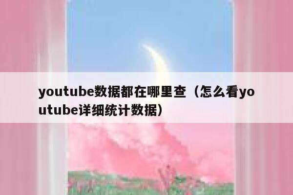 youtube数据都在哪里查（怎么看youtube详细统计数据） 第1张
