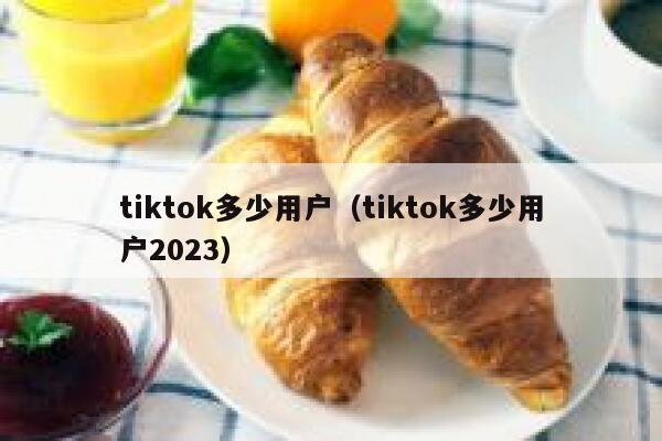 tiktok多少用户（tiktok多少用户2023） 第1张