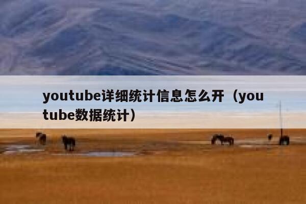 youtube详细统计信息怎么开（youtube数据统计） 第1张