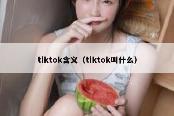tiktok含义（tiktok叫什么） 第1张