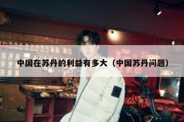 中国在苏丹的利益有多大（中国苏丹问题） 第1张