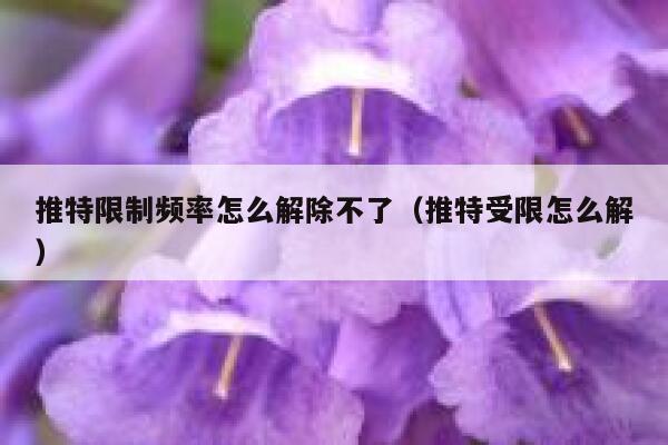 推特限制频率怎么解除不了（推特受限怎么解） 第1张