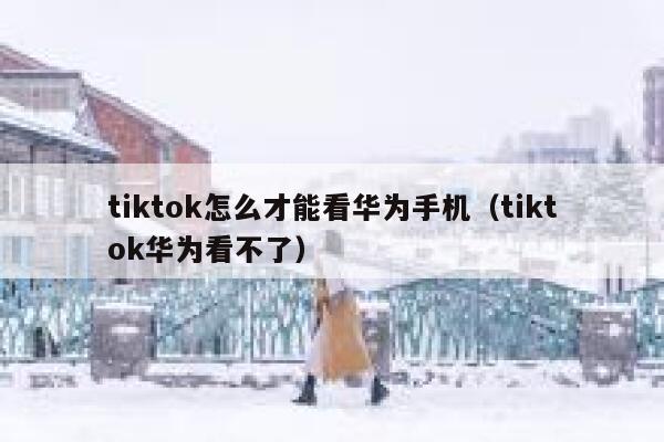tiktok怎么才能看华为手机（tiktok华为看不了） 第1张