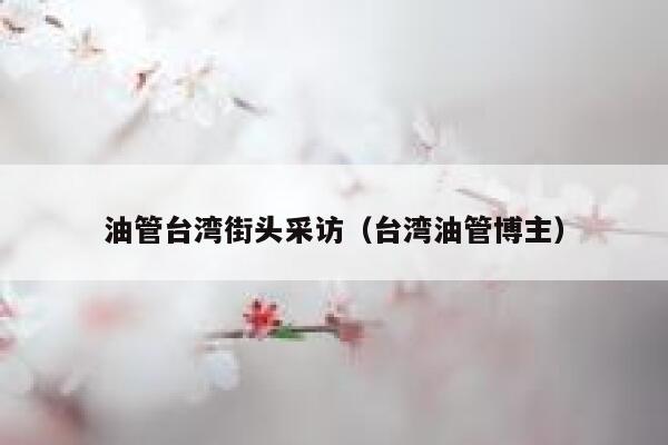 油管台湾街头采访（台湾油管博主） 第1张