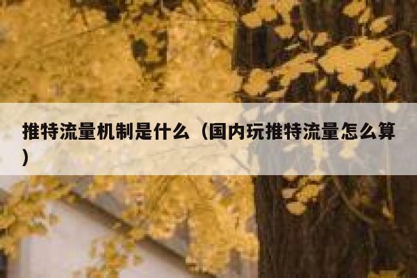 推特流量机制是什么（国内玩推特流量怎么算） 第1张