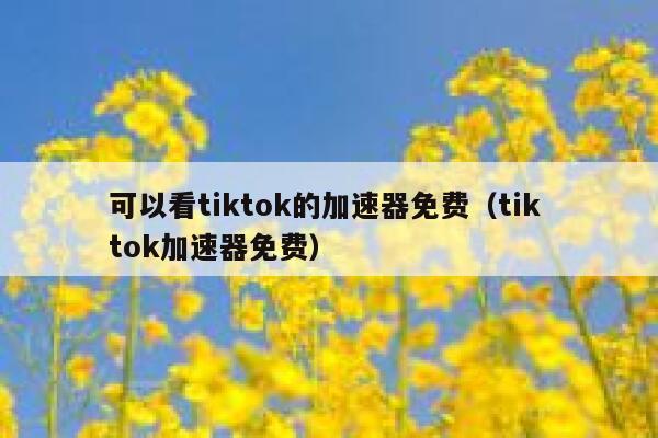 可以看tiktok的加速器免费(tik tok加速器免费) 第1张 可以看tiktok的加速器免费(tik tok加速器免费) 第1张