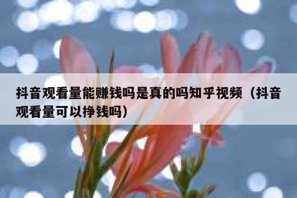 抖音观看量能赚钱吗是真的吗知乎视频（抖音观看量可以挣钱吗） 第1张