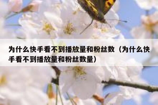 为什么快手看不到播放量和粉丝数（为什么快手看不到播放量和粉丝数量） 第1张