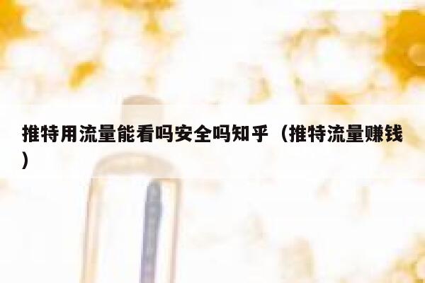 推特用流量能看吗安全吗知乎（推特流量赚钱） 第1张