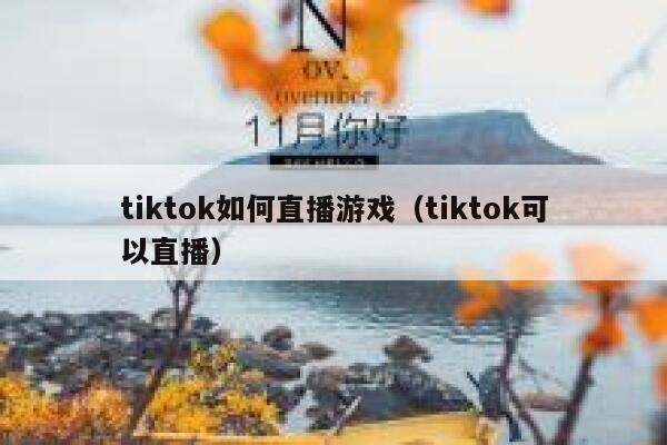 tiktok如何直播游戏(tiktok可以直播) 第1张 tiktok如何直播游戏(tiktok可以直播) 第1张