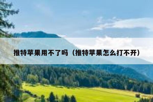 推特苹果用不了吗（推特苹果怎么打不开） 第1张