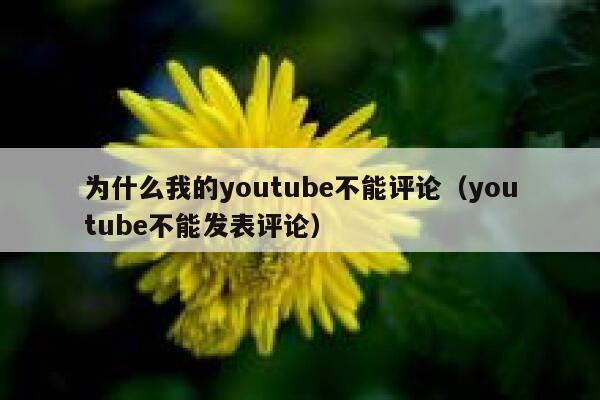 为什么我的youtube不能评论（youtube不能发表评论） 第1张