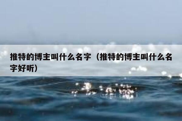 推特的博主叫什么名字（推特的博主叫什么名字好听） 第1张