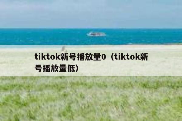 tiktok新号播放量0（tiktok新号播放量低） 第1张