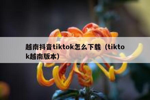 越南抖音tiktok怎么下载(tiktok越南版本) 第1张 越南抖音tiktok怎么下载(tiktok越南版本) 第1张
