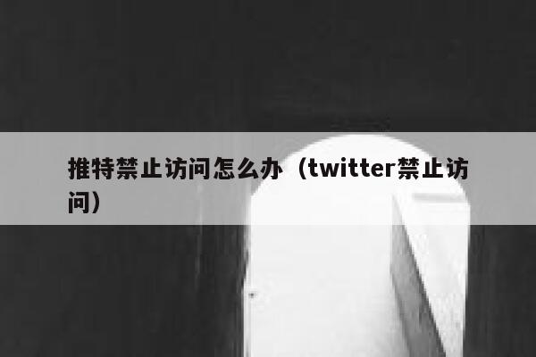 推特禁止访问怎么办（twitter禁止访问） 第1张