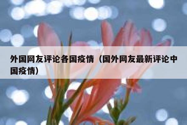 外国网友评论各国疫情（国外网友最新评论中国疫情） 第1张