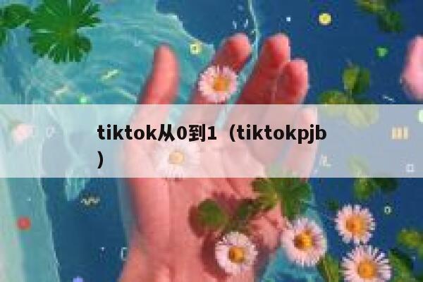 tiktok从0到1（tiktokpjb） 第1张