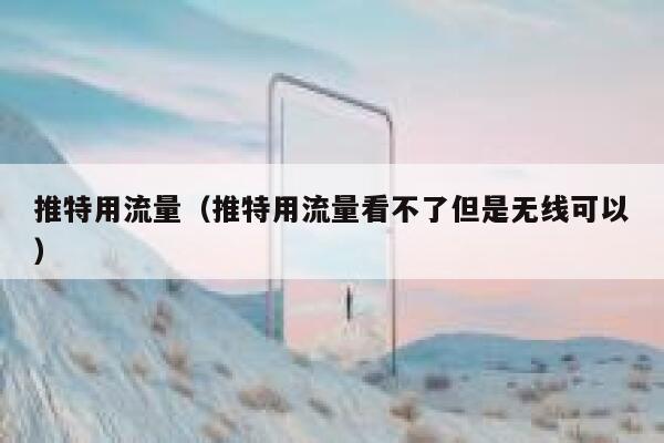 推特用流量（推特用流量看不了但是无线可以） 第1张