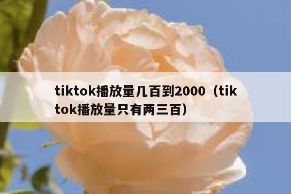 tiktok播放量几百到2000（tiktok播放量只有两三百） 第1张