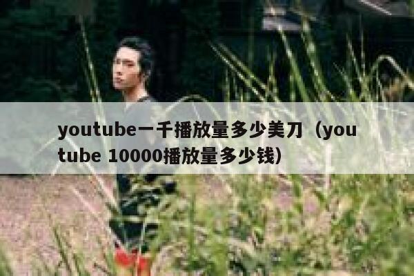 youtube一千播放量多少美刀（youtube 10000播放量多少钱） 第1张